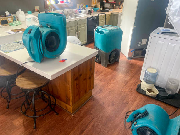 Best Mold removal after water damage  in Moore Haven, FL