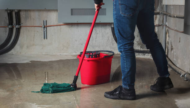  Moore Haven, FL Water damage restoration Pros
