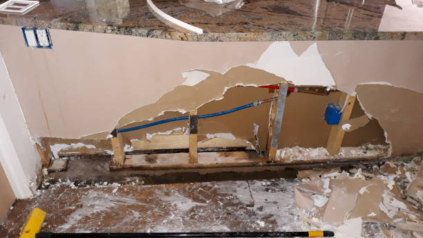 Best Flooded house restoration  in Moore Haven, FL