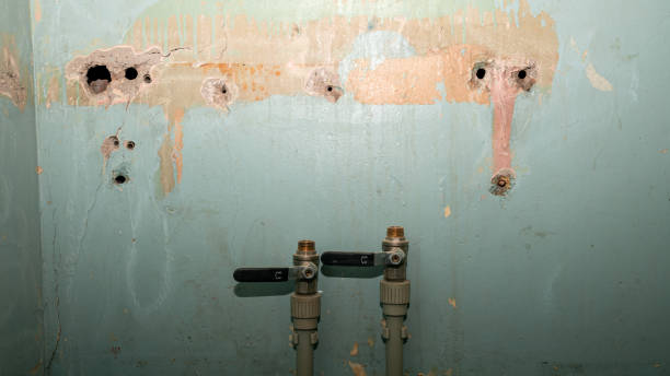 Best Water damage restoration near me  in Moore Haven, FL