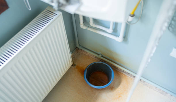 Best Sewage cleanup and water damage restoration  in Moore Haven, FL