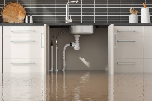 Water damage restoration mold remediation in Moore Haven, FL