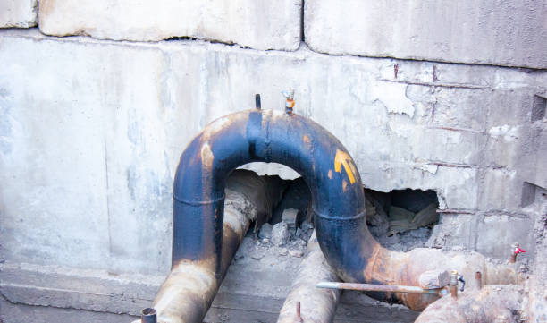 Best Flood damage cleanup  in Moore Haven, FL
