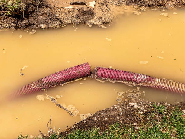 Carpet water damage restoration in Moore Haven, FL