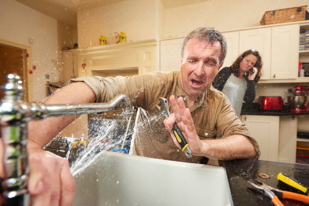 Best Fire Damage Restoration  in Moore Haven, FL